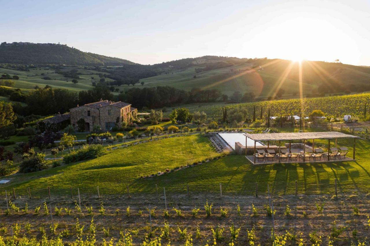Follonico 4-Suite B&B Torrita di Siena Eksteriør bilde