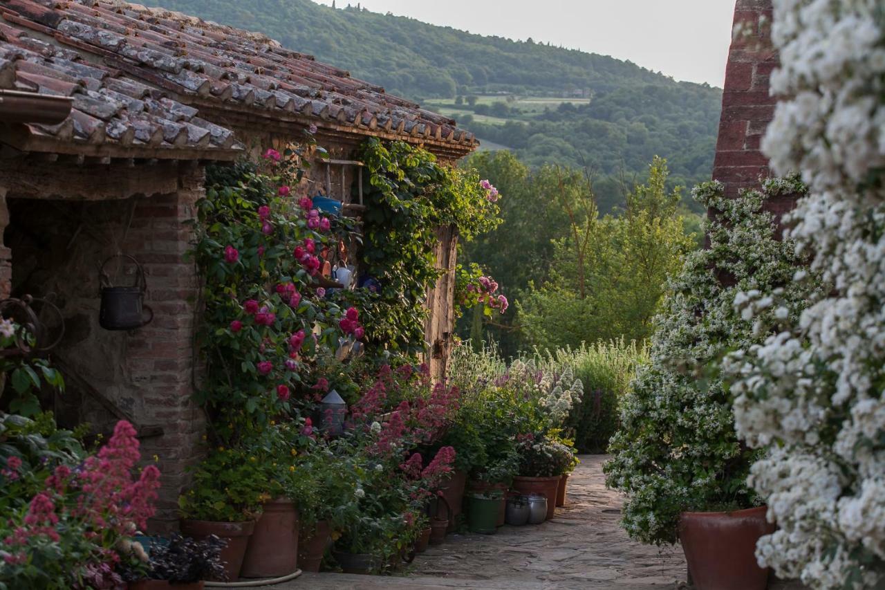 Follonico 4-Suite B&B Torrita di Siena Eksteriør bilde